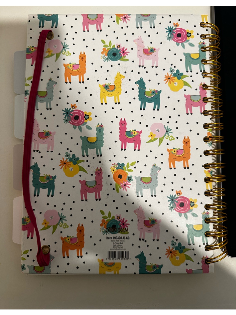 Carpe Diem Llama B5 Project Notebook Journal - Colorful Print - Picture 4 of 5